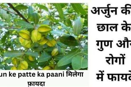 डायबिटीज से बचने के लिए पिए Arjun ke patte ka paani मिलेगा फ़ायदा