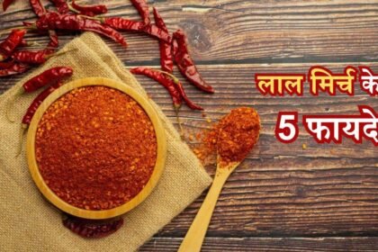 Lal Mirch Powder खाने से क्या फायदा और क्या है नुकसान लिए जाने इससे जुड़ी सारी जानकारी