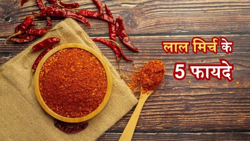 Lal Mirch Powder खाने से क्या फायदा और क्या है नुकसान लिए जाने इससे जुड़ी सारी जानकारी